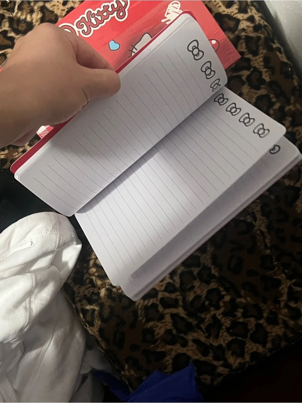 Hello Kitty Red & Pink Notebooks
